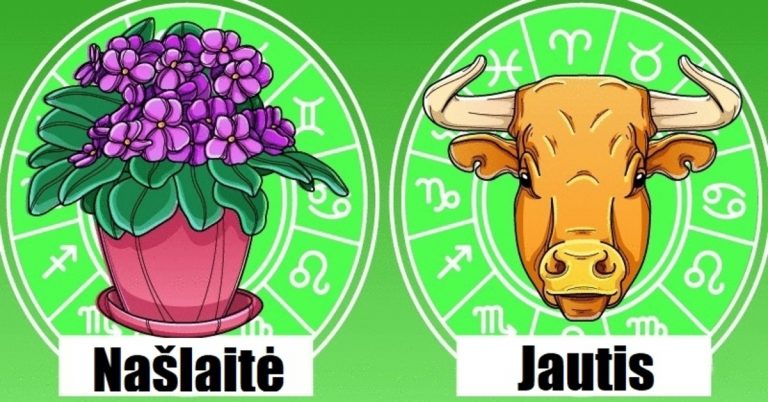 Orchidėja ar kaktusas? Štai kuri kambarinė gėlė yra jūsų talismanas pagal Zodiako ženklą