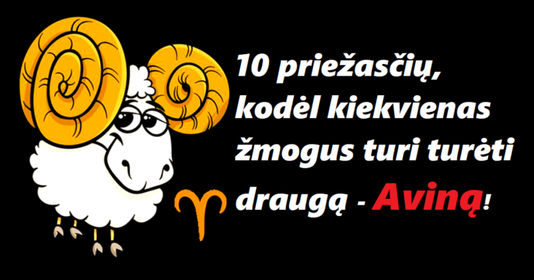 10 priežasčių, kodėl kiekvienas žmogus turi turėti draugą – Aviną!