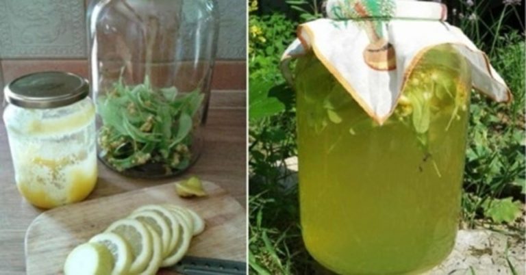 Liepų žiedų limonadas – kvepiantis, skanus ir labai gaivinantis!