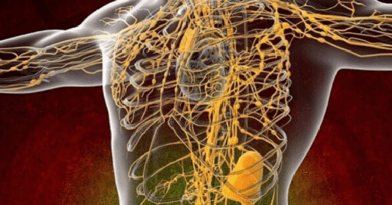 Rekomendacijos limfinės sistemos valymui. Pasinaudokite šiais patarimais!