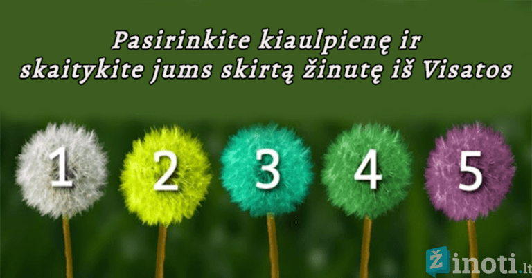 Pasirinkite kiaulpienę ir skaitykite jums skirtą žinutę iš Visatos