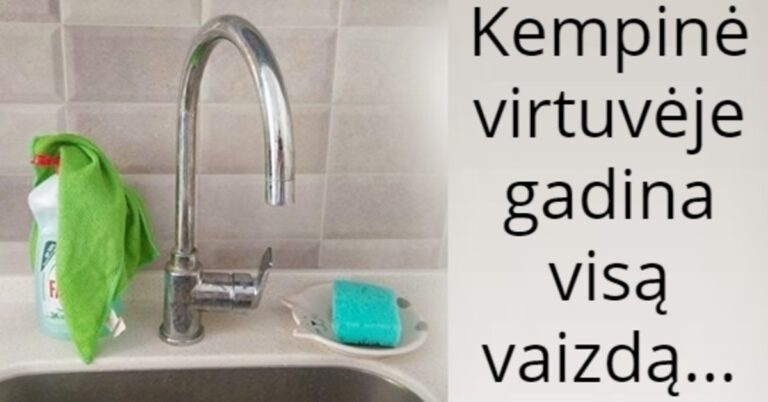 Kur virtuvėje laikyti kempines, kad jos negadintų bendro vaizdo?