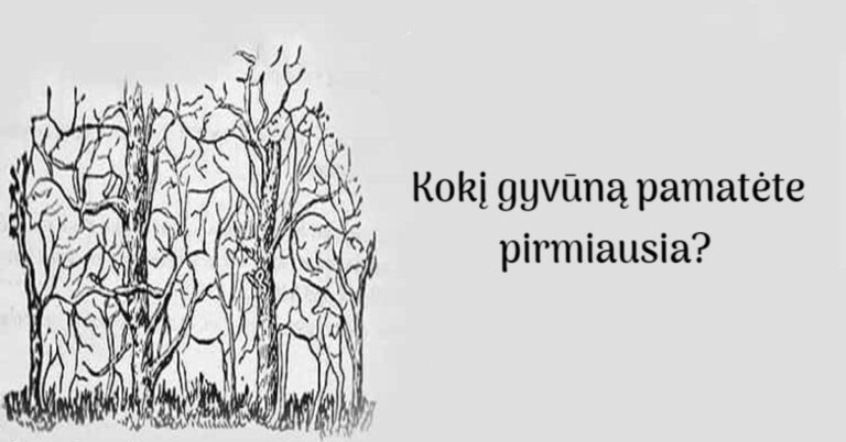 Kokį gyvūną pamatėte pirmiausia? Tai atskleis jūsų asmenybę