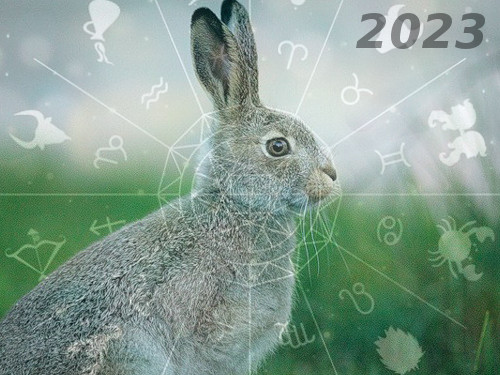 2023-ieji Juodojo Vandens Triušio metai: horoskopas visiems Zodiako ženklams