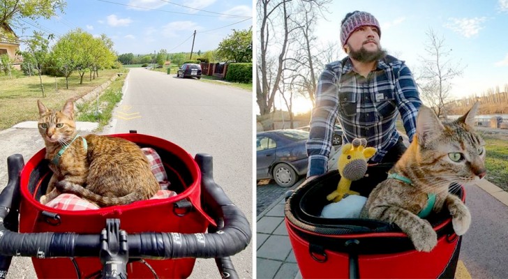 Vyriškis rado paliktą kačiuką – dabar jie kartu keliauja po pasaulį