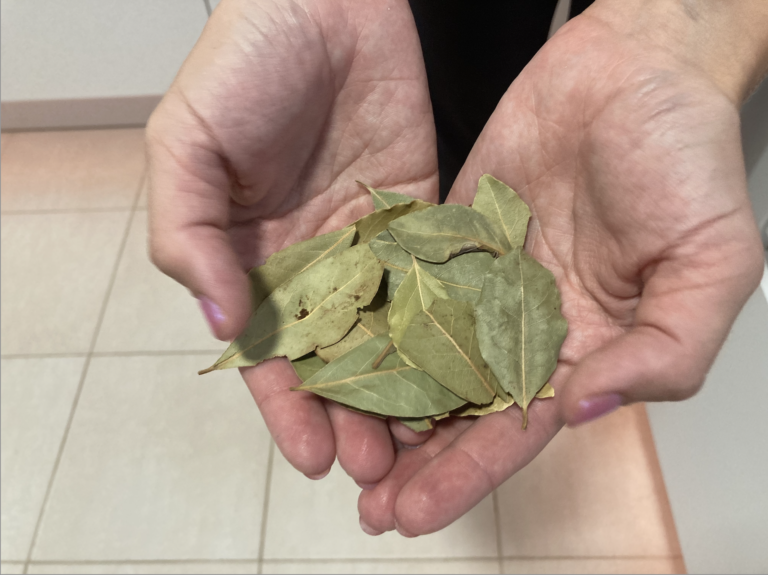 Štai kodėl į vazoną reikia įdėti lauro lapą: tą žinojo mūsų močiutės!