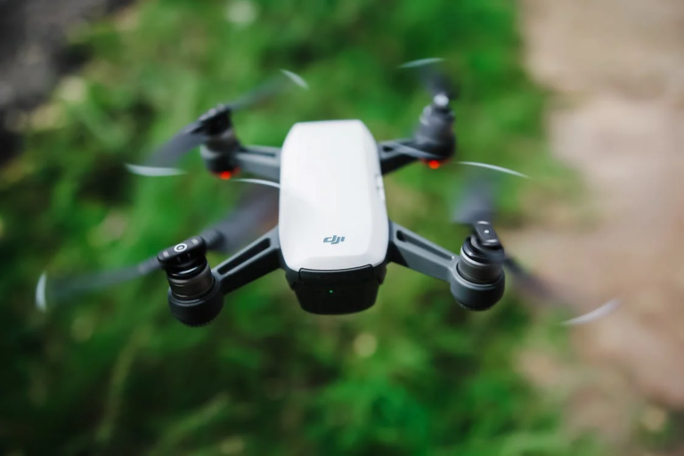 Dronai ir gamtos apsauga: kaip technologija padeda saugoti aplinką?